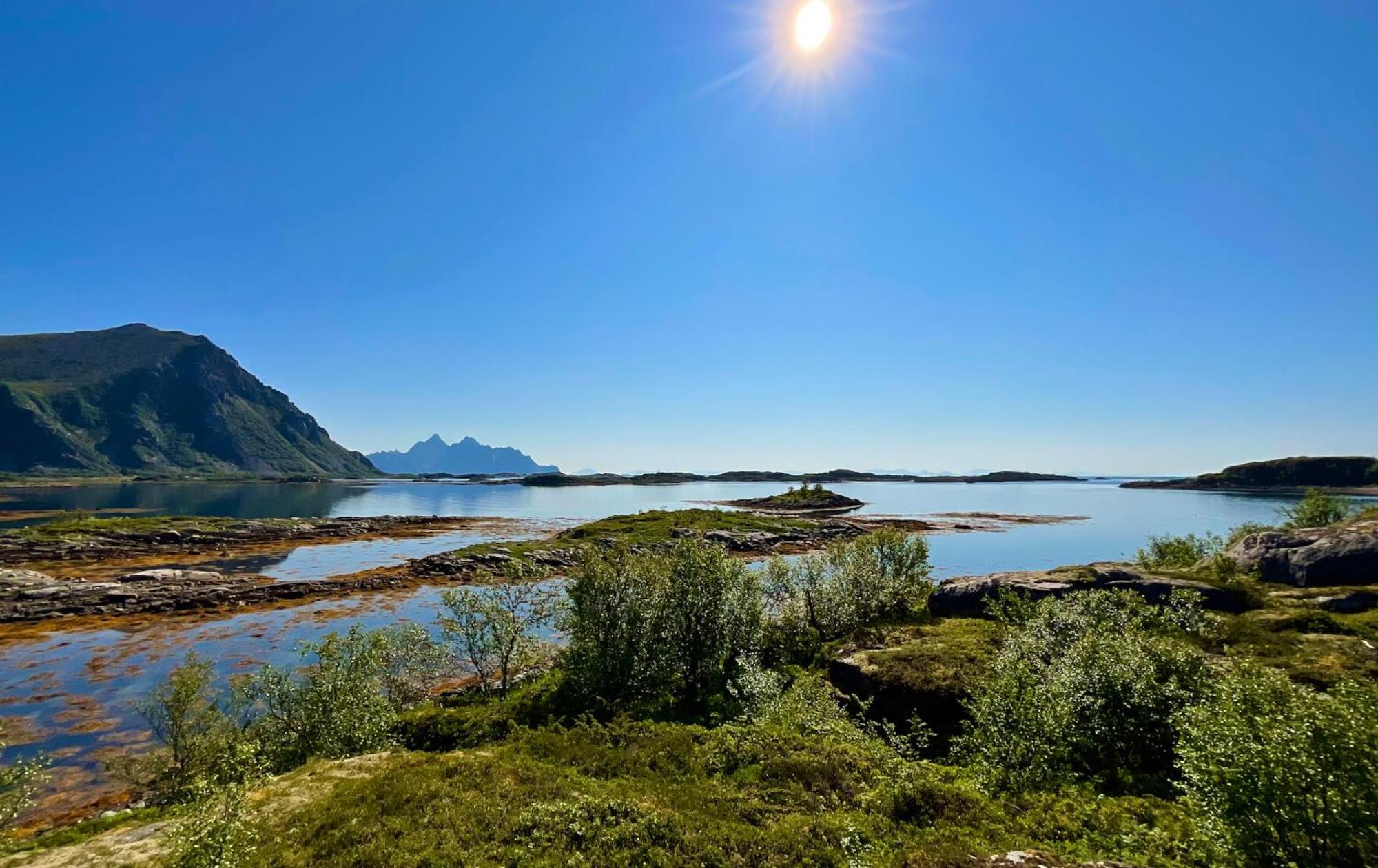Fishermans Paradise Lofoten Leknes Exteriér fotografie